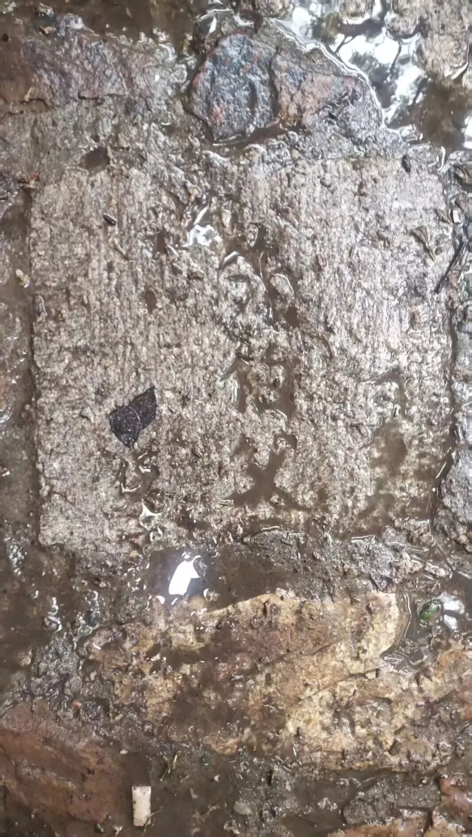 公园用墓碑铺路，碑面可见“先父”“贤妻”等称谓