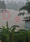 广西水库决堤  千条毒蛇遭大水冲出伤人