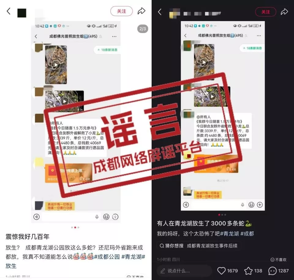有人在成都青龙湖放生3000条蛇?回应来了