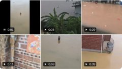 广西洪水退去仍有蛇出没 捕蛇人：每天抓20条